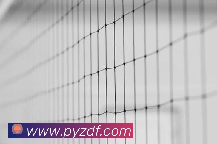 巅峰国际平台生态图